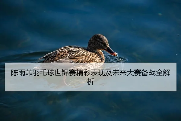 陈雨菲羽毛球世锦赛精彩表现及未来大赛备战全解析 - 8868 SPORTS